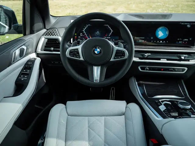 BMW X5 X5 view 12