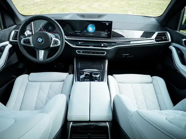 BMW X5 X5 view 13