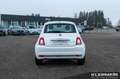 Fiat 500 MY22 1.0 GSE Hybrid DOLCEVITA 51kW (70PS) Blanc - thumbnail 6