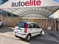 Fiat Panda Bianco - thumbnail 2