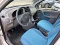 Fiat Panda Bianco - thumbnail 7
