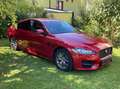 Jaguar XF XF 20d R-Sport Aut. R-Sport Rot - thumbnail 11