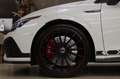 Volkswagen Golf GTI 2.0 TSI CLUBSPORT 45 JAHRE /PANO/AKRA/IQ-LIGHT/NUR Wit - thumbnail 44