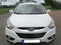 Hyundai iX35 ix35 1.6 2WD5 Star Edition Weiß - thumbnail 10
