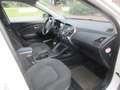 Hyundai iX35 ix35 1.6 2WD5 Star Edition Weiß - thumbnail 3