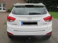 Hyundai iX35 ix35 1.6 2WD5 Star Edition Weiß - thumbnail 11