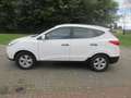 Hyundai iX35 ix35 1.6 2WD5 Star Edition Weiß - thumbnail 8