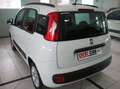 Fiat Panda 1.2 Lounge easypower Gpl 69cv Blanc - thumbnail 6