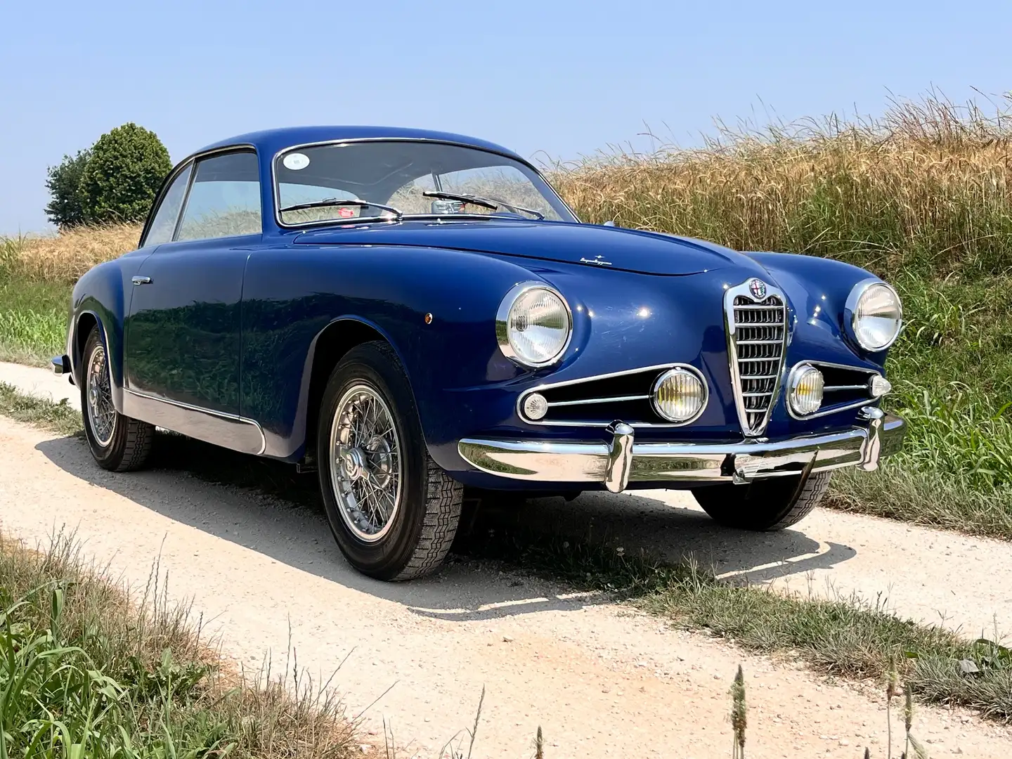 Alfa Romeo 1900 SS plava - 2
