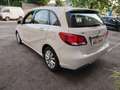Mercedes-Benz B 180 d Premium EURO 6 - PREZZO REALE Bianco - thumbnail 6