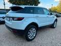 Land Rover Range Rover Evoque SE Pano*Navi*Tempo*Leder Weiß - thumbnail 4