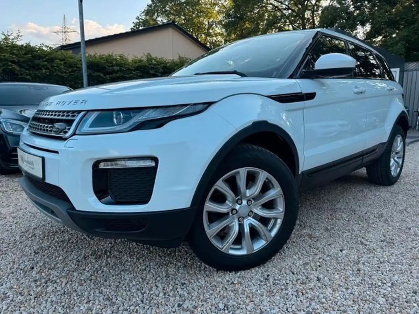 Land Rover Range Rover Evoque SE Pano*Navi*Tempo*Leder Weiß - 1