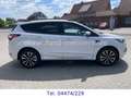 Ford Kuga 1.5 EB Automatik ST-Line *Inspektion neu*++ Weiß - thumbnail 6