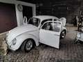 Volkswagen Käfer Alb - thumbnail 6