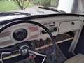 Volkswagen Käfer Alb - thumbnail 10