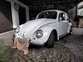 Volkswagen Käfer Blanc - thumbnail 16