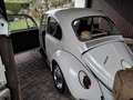 Volkswagen Käfer Alb - thumbnail 4