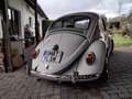 Volkswagen Käfer Alb - thumbnail 15