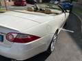 Jaguar XK Cabrio 3.5 V8 auto Bianco - thumbnail 10