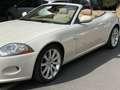 Jaguar XK Cabrio 3.5 V8 auto bijela - thumbnail 3