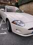 Jaguar XK Cabrio 3.5 V8 auto Blanc - thumbnail 2