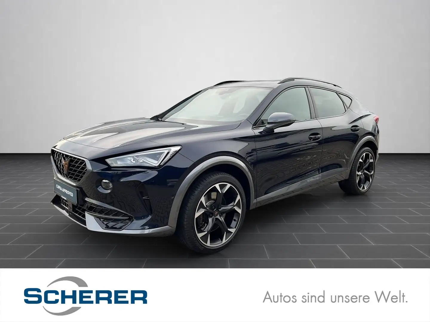 CUPRA Formentor 2,0 TSI VZ DSG RFK/NAVI/LED/Panoramada Bleu - 1
