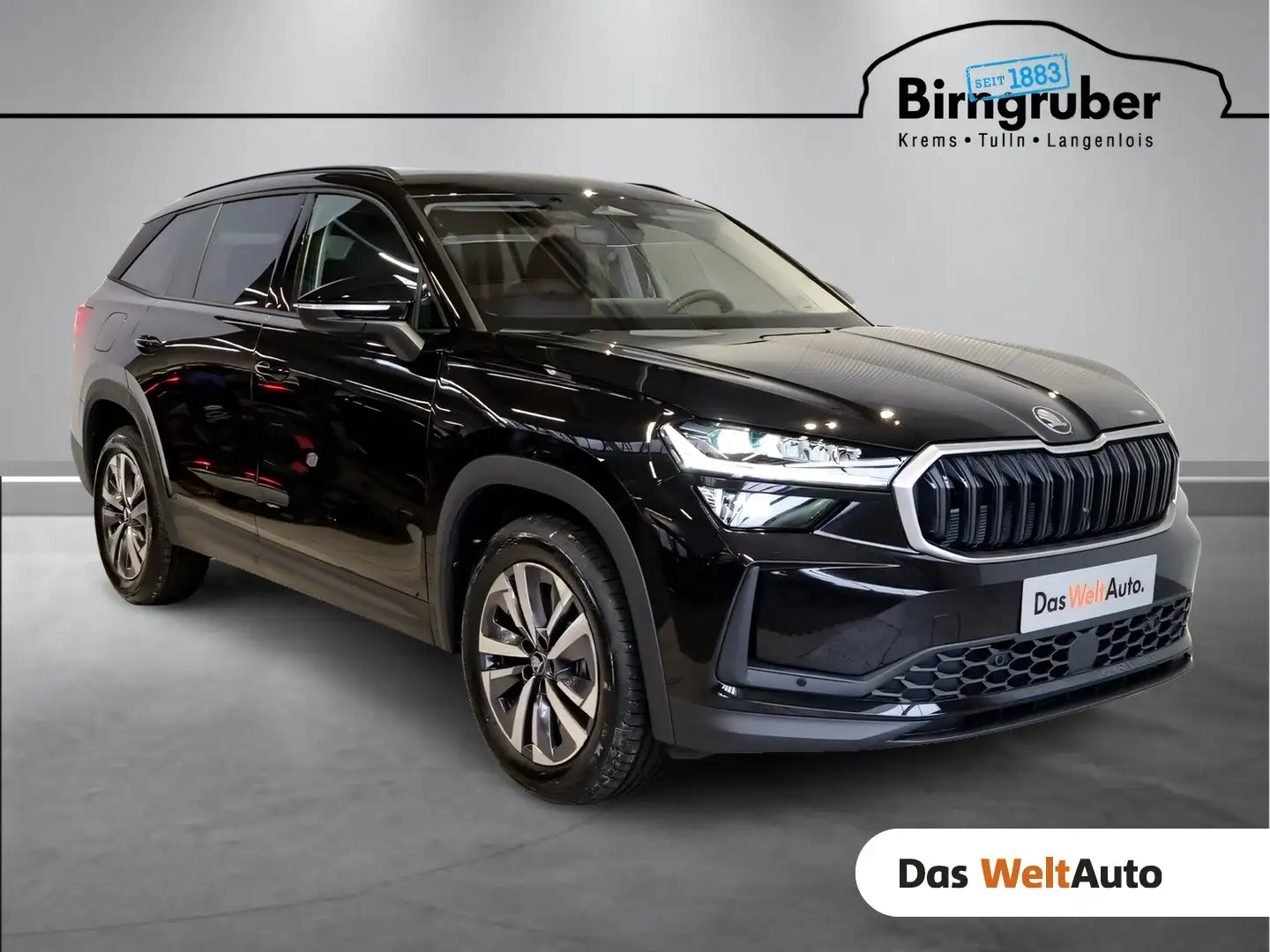 Skoda Kodiaq Selection TDI DSG Schwarz - 1
