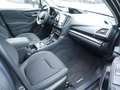 Subaru Forester 2.0ie Comfort KAMERA NAVI ACC LED Grau - thumbnail 2