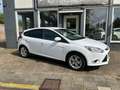 Ford Focus 1.6 TI-VCT/ AIRCO/ BLUETOOTH/ STOELVERW/ 16 INCH/ Wit - thumbnail 2