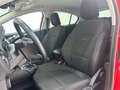 Ford Focus ACTIVE X 1.0 ECOBOOST 125CV Rouge - thumbnail 23