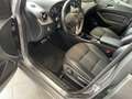 Mercedes-Benz B 180 B 180 cdi be Executive - thumbnail 13