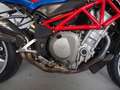 MV Agusta Brutale 750 America Blu/Azzurro - thumbnail 3