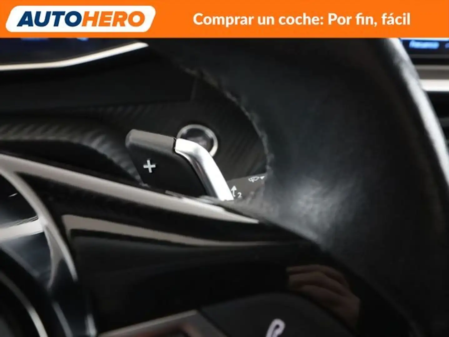 Thumb 31