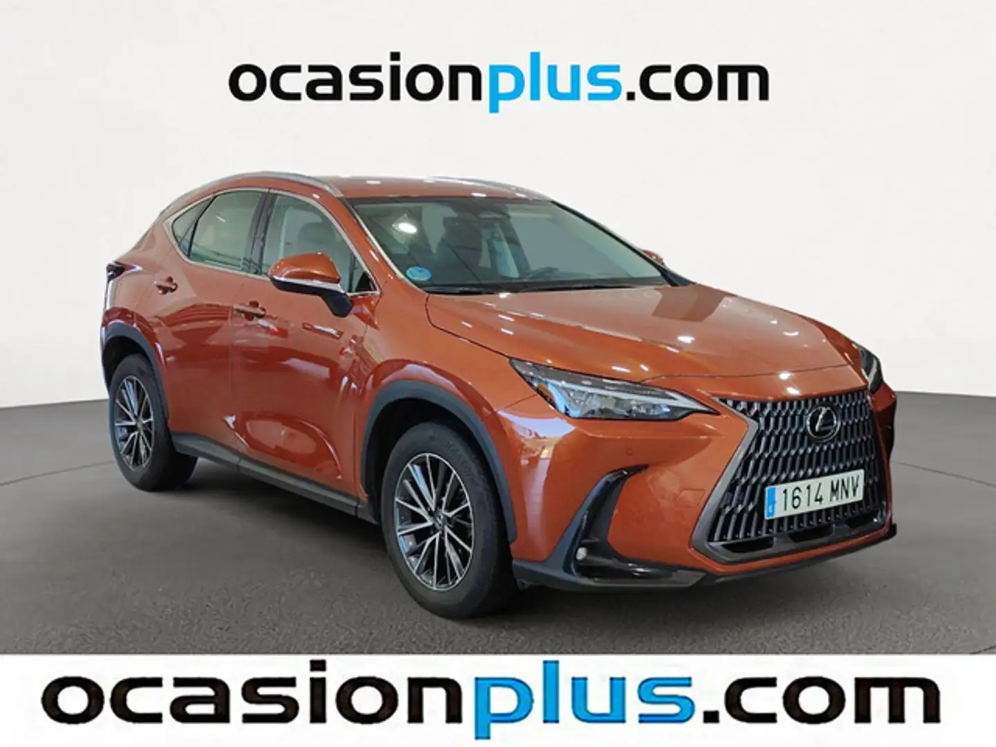 Lexus NX 350h Business City 4WD Naranja - 2