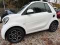 smart forTwo *CABRIO*PRIME*NAVI*LEDER* Weiß - thumbnail 5