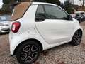 smart forTwo *CABRIO*PRIME*NAVI*LEDER* Weiß - thumbnail 31