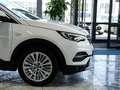 Opel Grandland X 2.0d Bus.Innovation 360K 18LM LEDER Blanc - thumbnail 32