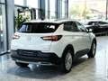 Opel Grandland X 2.0d Bus.Innovation 360K 18LM LEDER Blanc - thumbnail 9