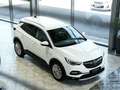 Opel Grandland X 2.0d Bus.Innovation 360K 18LM LEDER Blanc - thumbnail 38