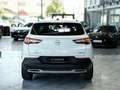 Opel Grandland X 2.0d Bus.Innovation 360K 18LM LEDER Blanc - thumbnail 33