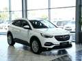 Opel Grandland X 2.0d Bus.Innovation 360K 18LM LEDER Blanc - thumbnail 7