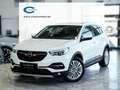 Opel Grandland X 2.0d Bus.Innovation 360K 18LM LEDER Blanc - thumbnail 1