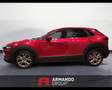 Mazda CX-30 2.0L Skyactiv-G M Hybrid 2WD Exceed Rosso - thumbnail 9