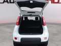 Fiat Panda Hybrid 1.0 51kw (70CV) Blanco - thumbnail 9