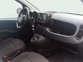 Fiat Panda Hybrid 1.0 51kw (70CV) Blanco - thumbnail 10