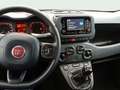 Fiat Panda Hybrid 1.0 51kw (70CV) Blanco - thumbnail 14
