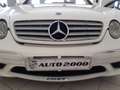 Mercedes-Benz CL 500 CL 55 AMG KOMPRESSOR 500HP STORICA A.S.I. Wit - thumbnail 1