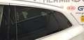 Audi Q5 2.0TDI S line quattro-ultra S tronic 140kW Blanco - thumbnail 43
