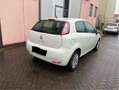 Fiat Punto Evo 3p 1.2 Fun s&s - thumbnail 6
