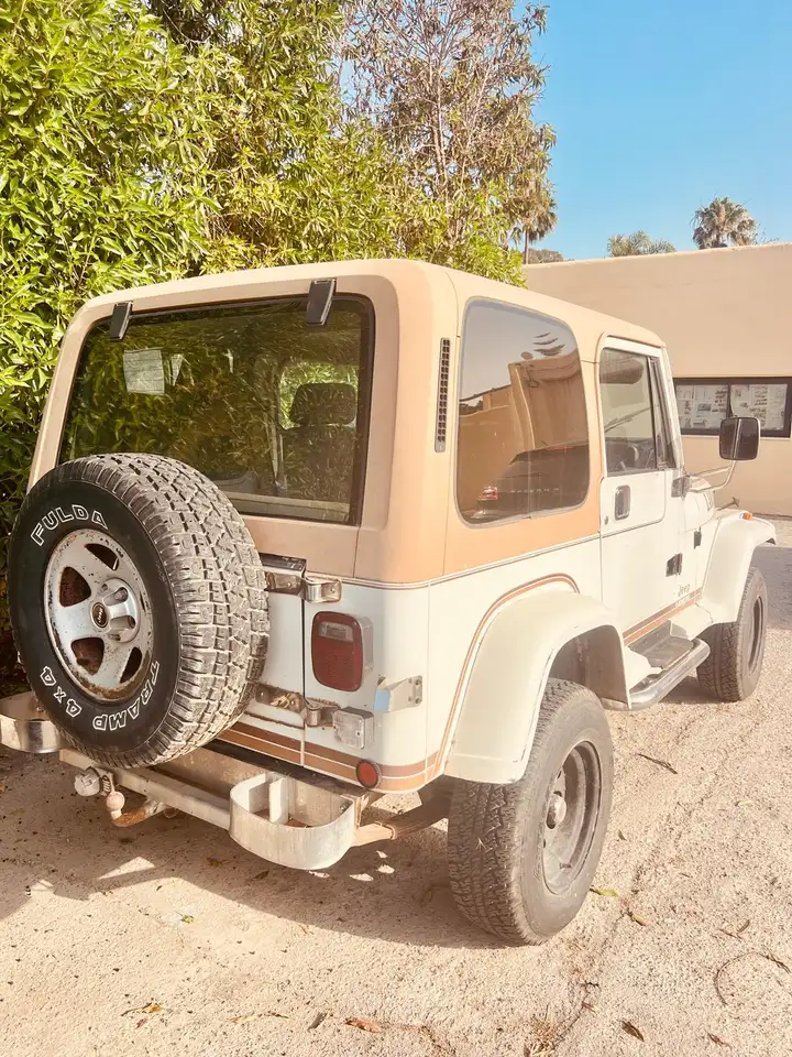 Jeep Wrangler 4.0, foto 8